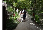 DSC00666.JPG