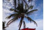 DSC00685.JPG