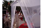 DSC00699.JPG