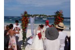 DSC00726.JPG