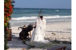 DSC00797.JPG